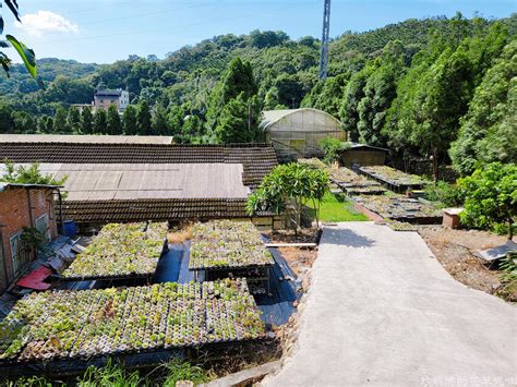 佳河錦鯉園|【桃園市龍潭區】佳河錦鯉園＆三和青創基地｜繞山花多肉食堂｜ 